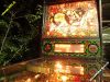 173_pinball_frunz_2011