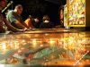 19_pinball_frunz_2011