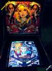 213_pinball_frunz_2011